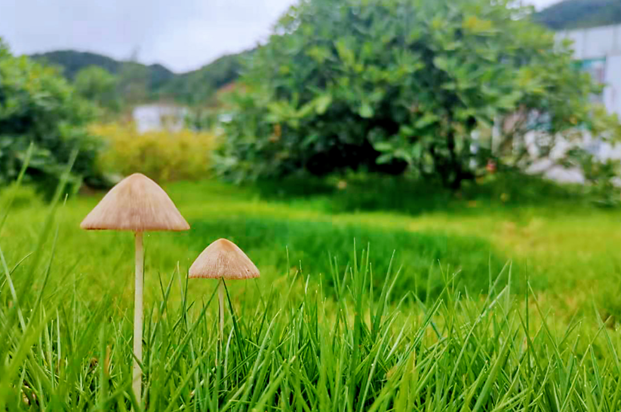 微信截圖_20230823153949.png 微信截圖_20230823153949.png